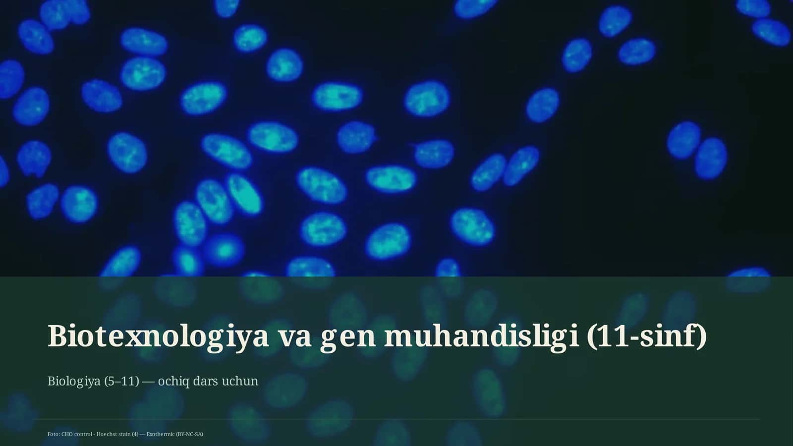 Biotexnologiya va gen muhandisligi (11-sinf)