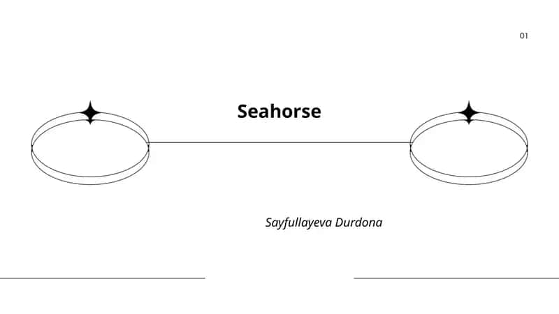 Seahorse