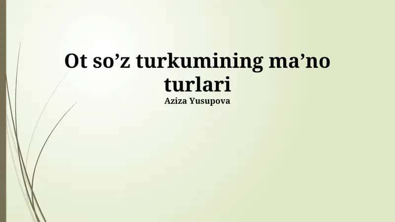 Ot so’z turkumining ma’no turlari