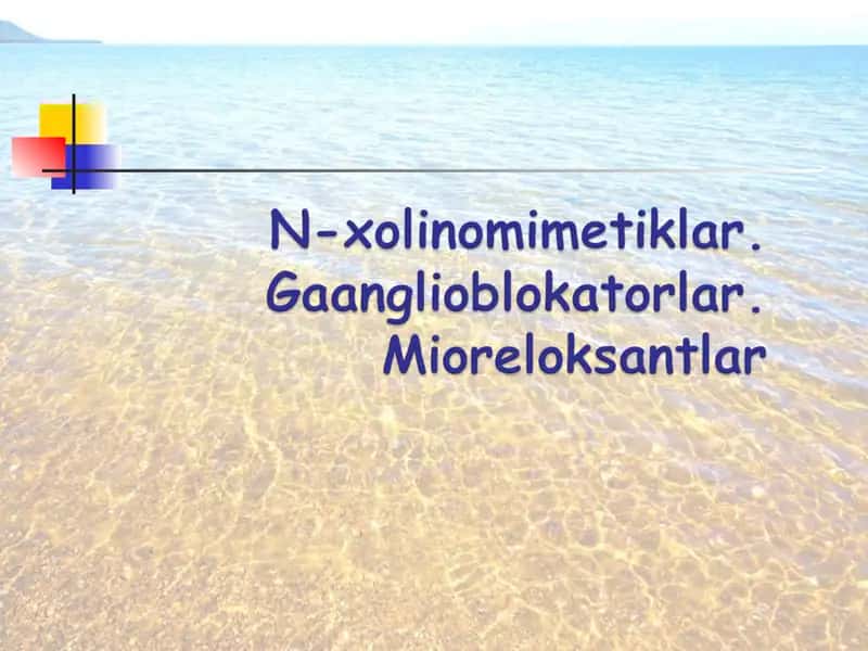 Nikotinga sezgir (N-xolinoretseptorlar)