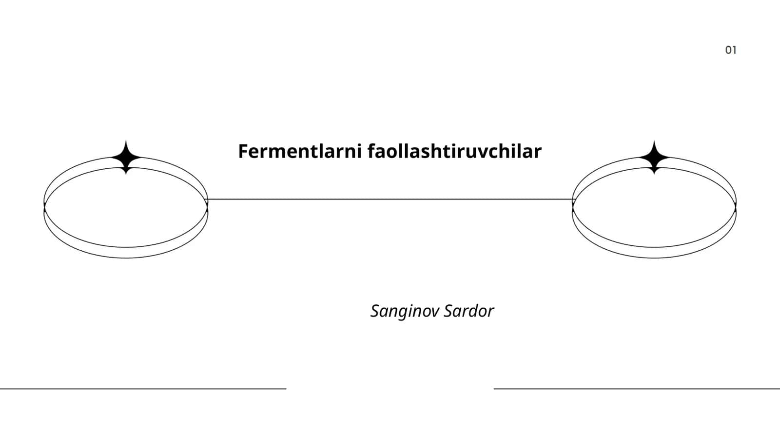 Fermentlarni faollashtiruvchilar