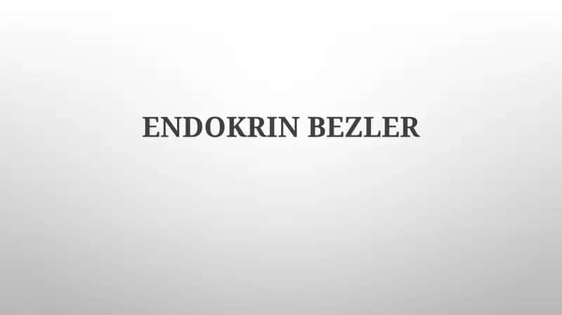 Endokrin bezler