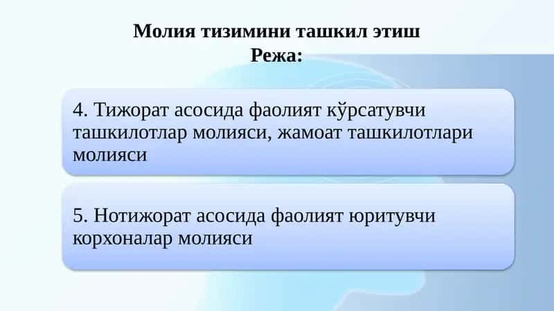 Молия тизимини ташкил этиш