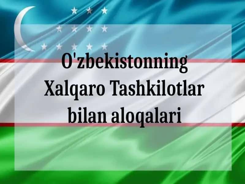 Xalqaro Tashkilotlar