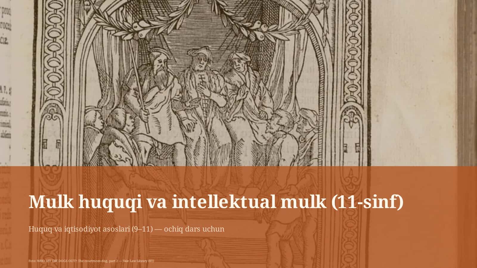 Mulk huquqi va intellektual mulk (11-sinf)