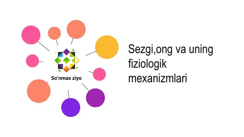 Sezgi, ong va uning fiziologik mexanizmlari