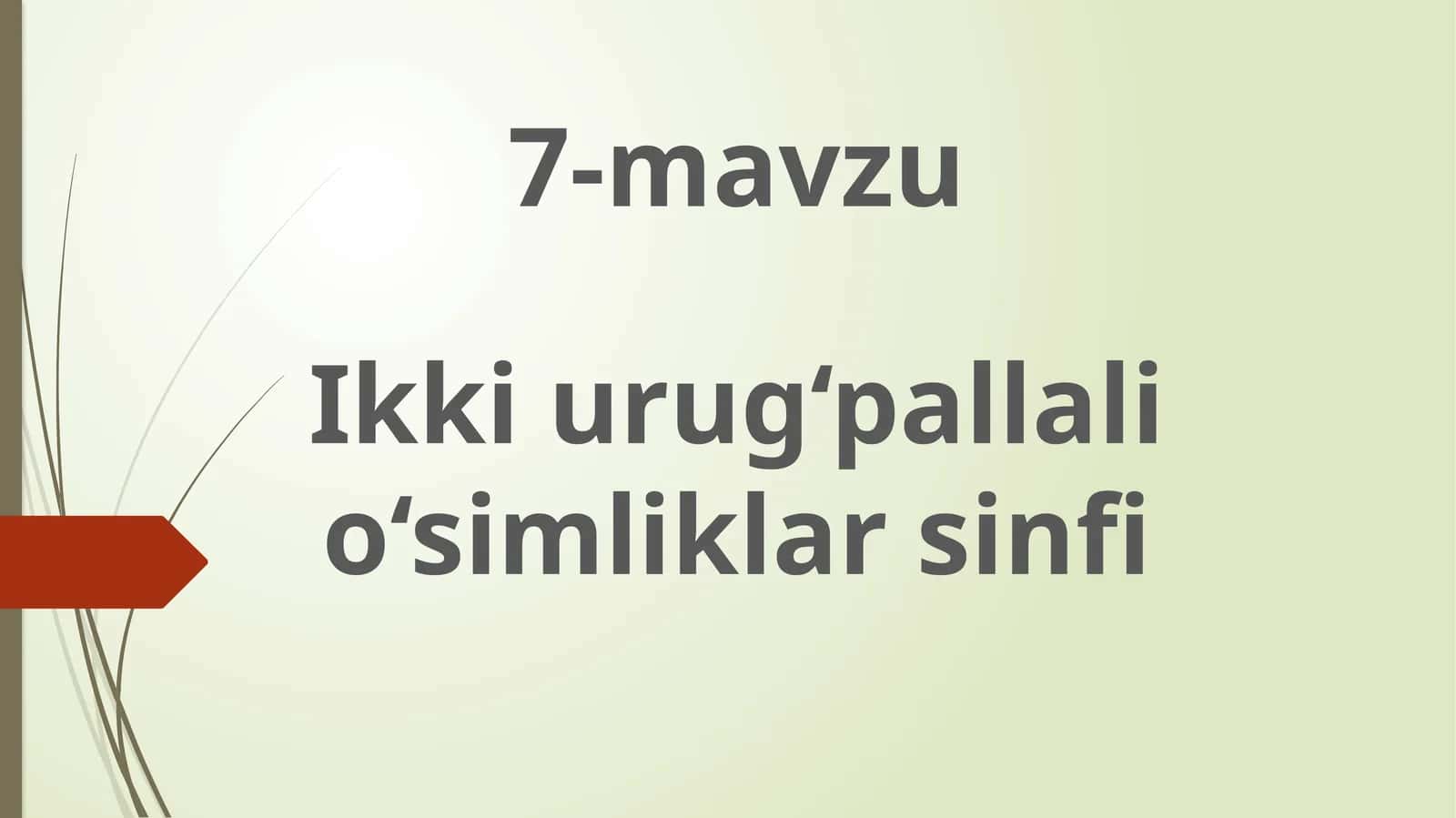 Ikki urug‘pallali o‘simliklar sinfi