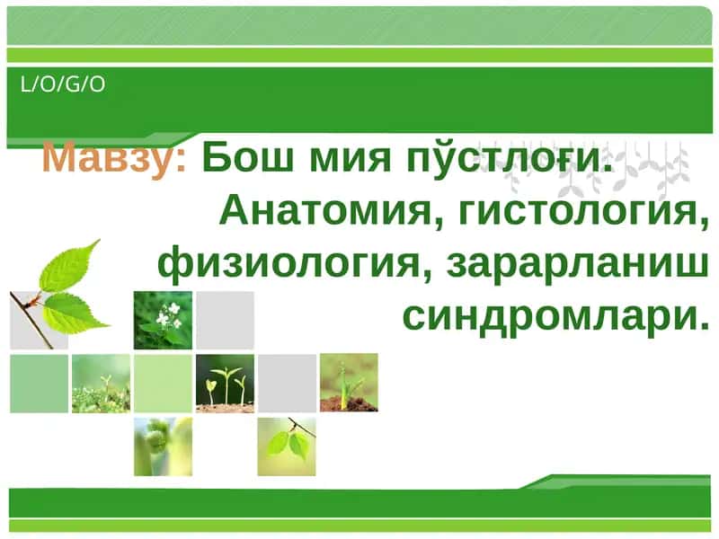 Бошмияпўстлоғи