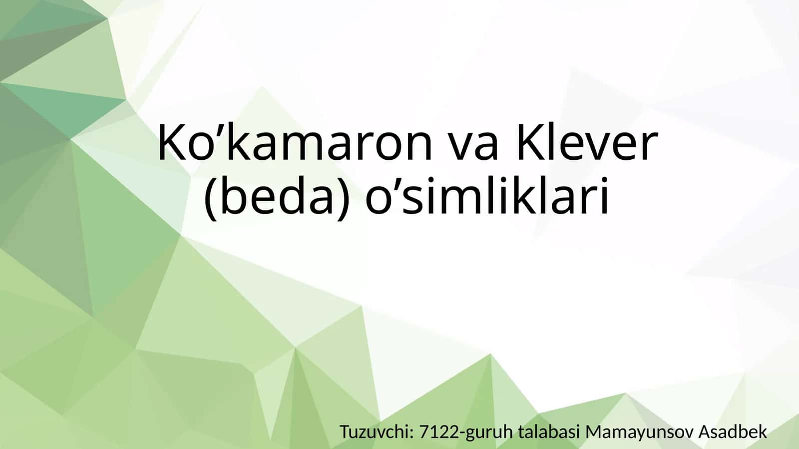 Ko’kamaron va Klever (beda) o’simliklari