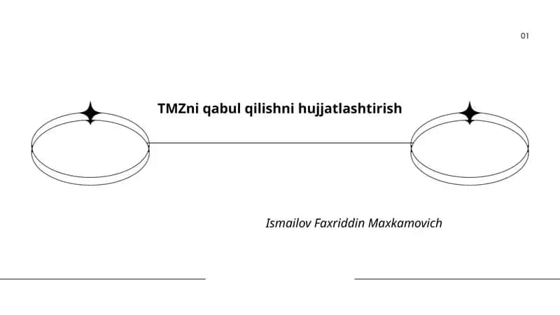 TMZni qabul qilishni hujjatlashtirish
