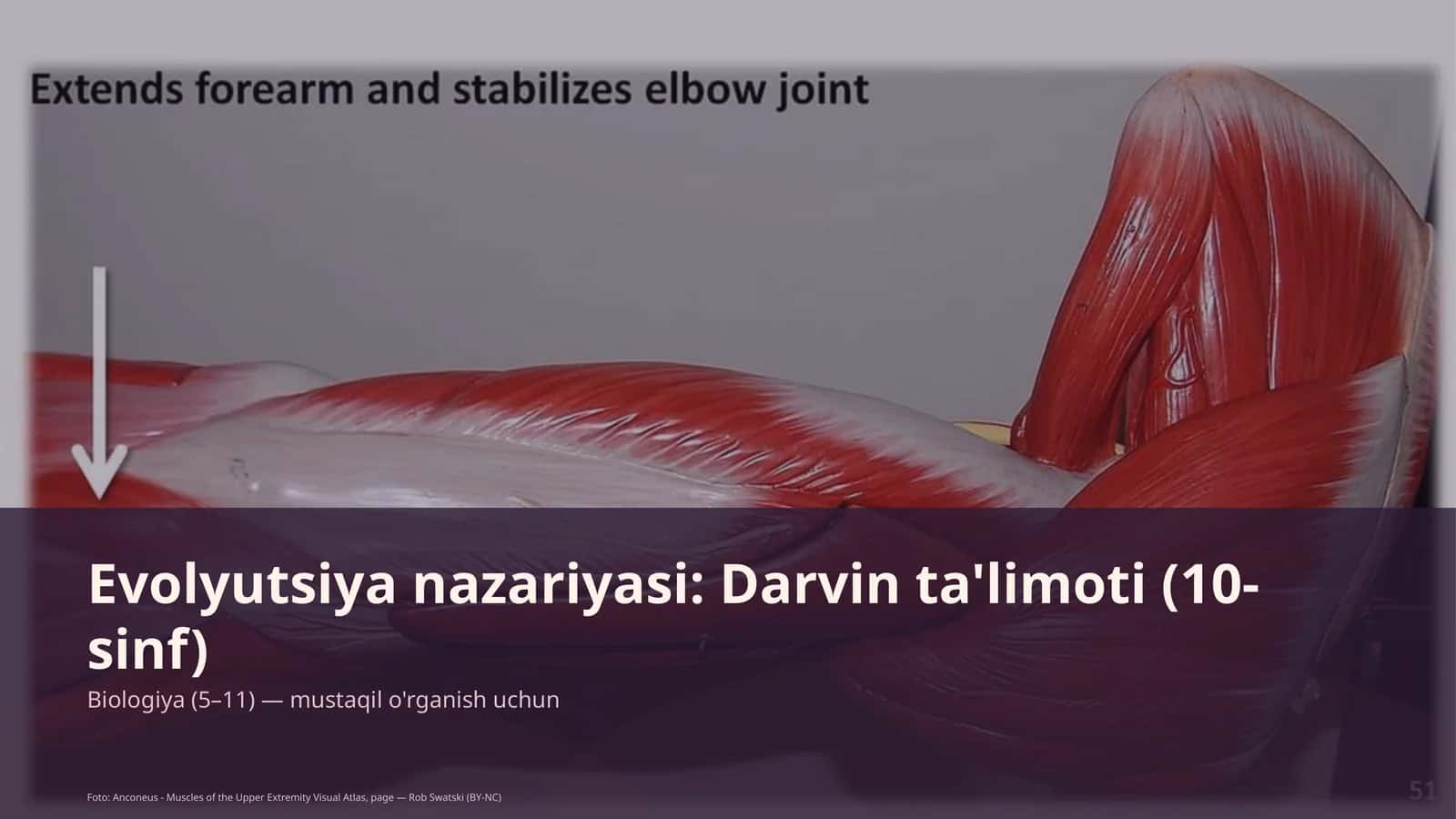 Evolyutsiya nazariyasi: Darvin ta'limoti (10-sinf)