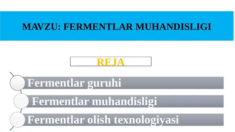 FERMENTLAR MUHANDISLIGI