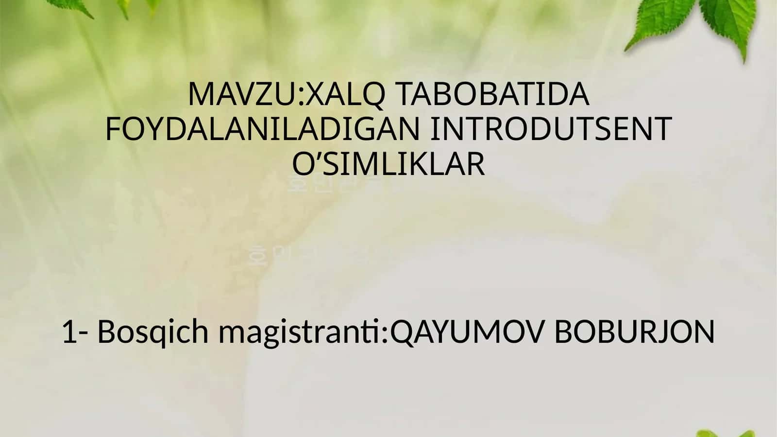 XALQ TABOBATIDA FOYDALANILADIGAN INTRODUTSENT O’SIMLIKLAR