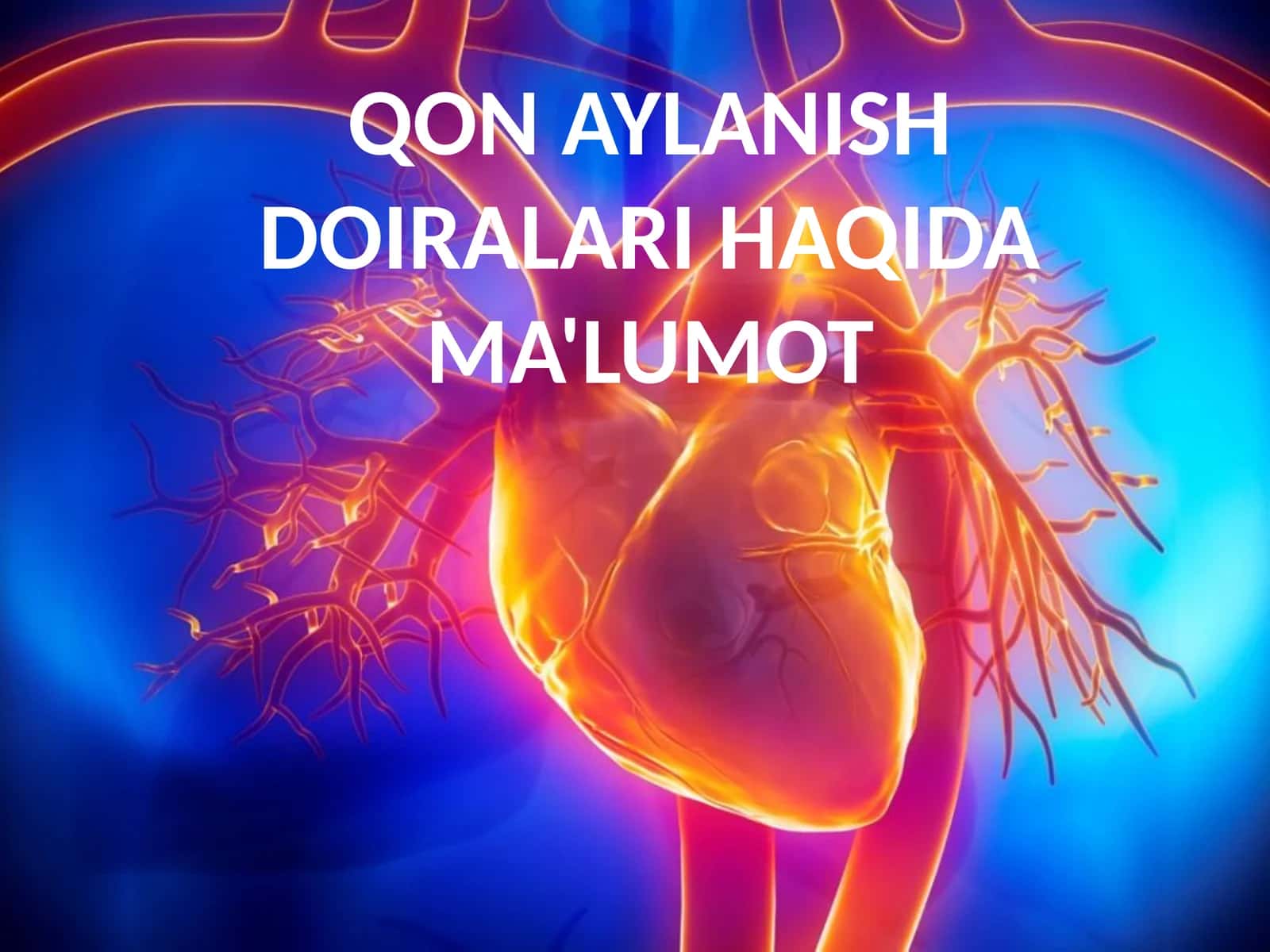 QON AYLANISH DOIRALARI HAQIDA MA'LUMOT