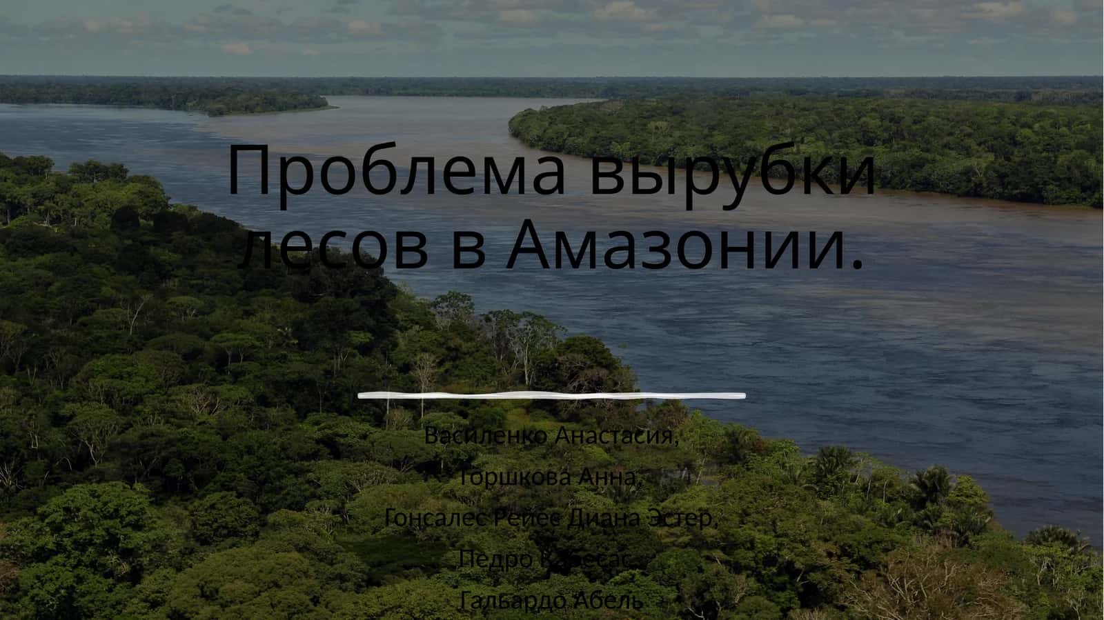 Проблема вырубки лесов в Амазонии