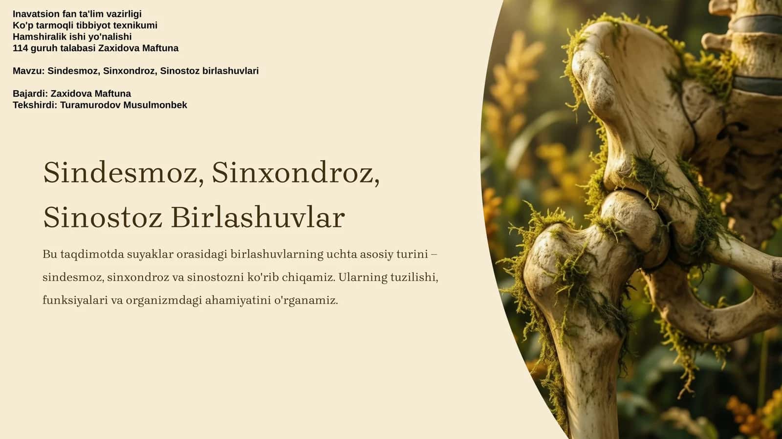 Sindesmoz, Sinxondroz, Sinostoz Birlashuvlar