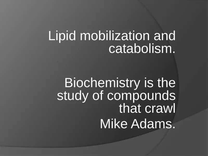 Lipidmobilizationandcatabolism