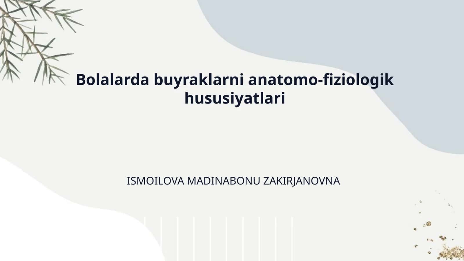 Bolalarda buyraklarni anatomo-fiziologik hususiyatlari