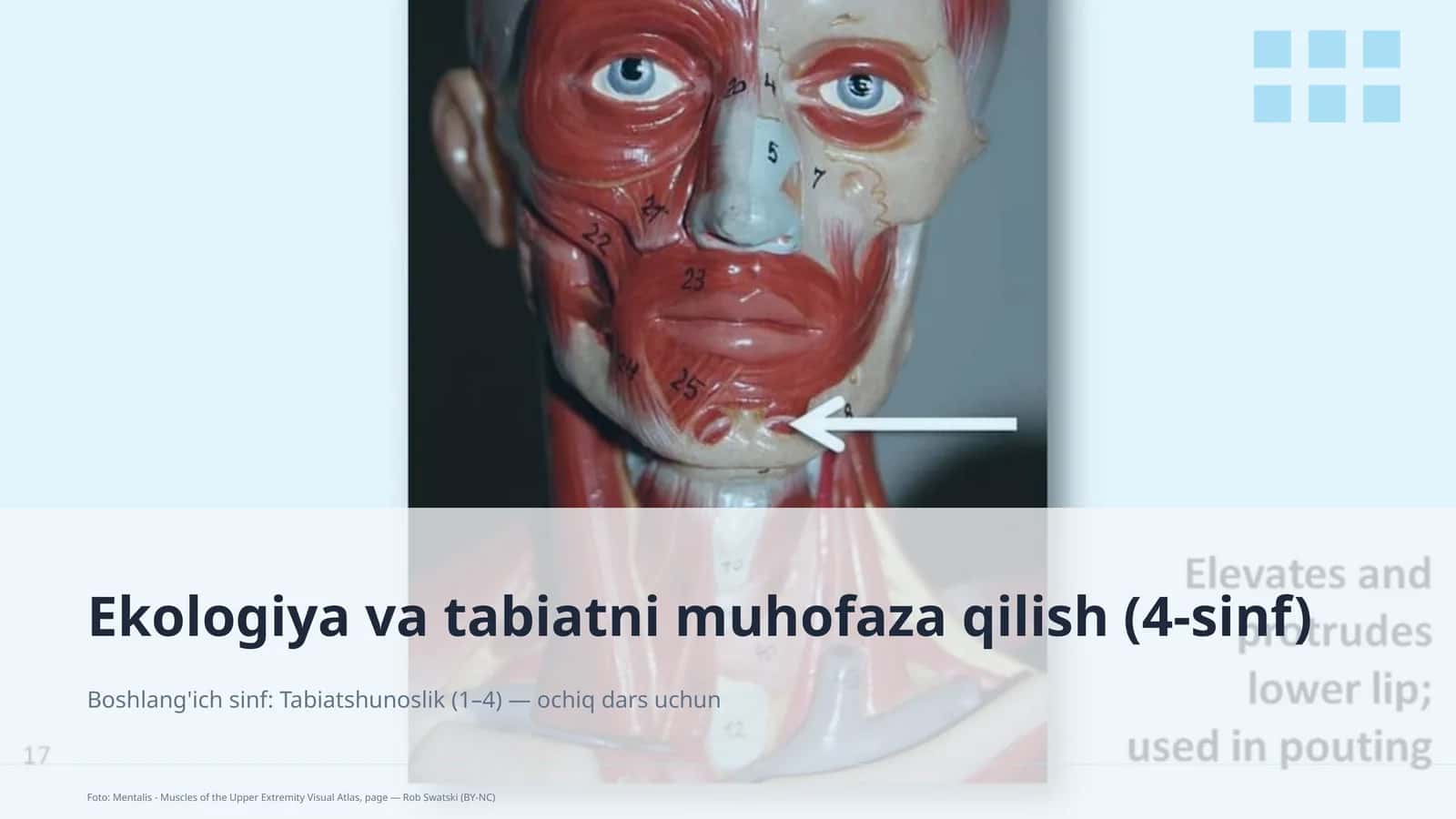 Ekologiya va tabiatni muhofaza qilish (4-sinf)