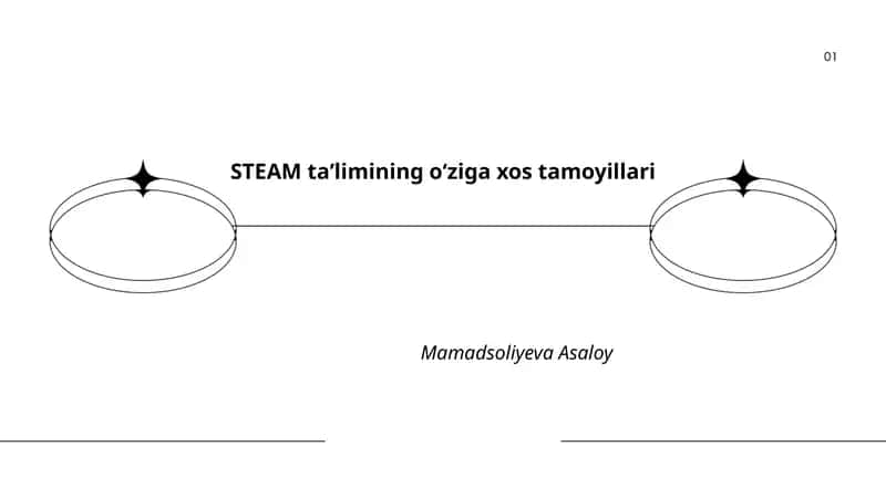 STEAM taʼlimining oʻziga xos tamoyillari