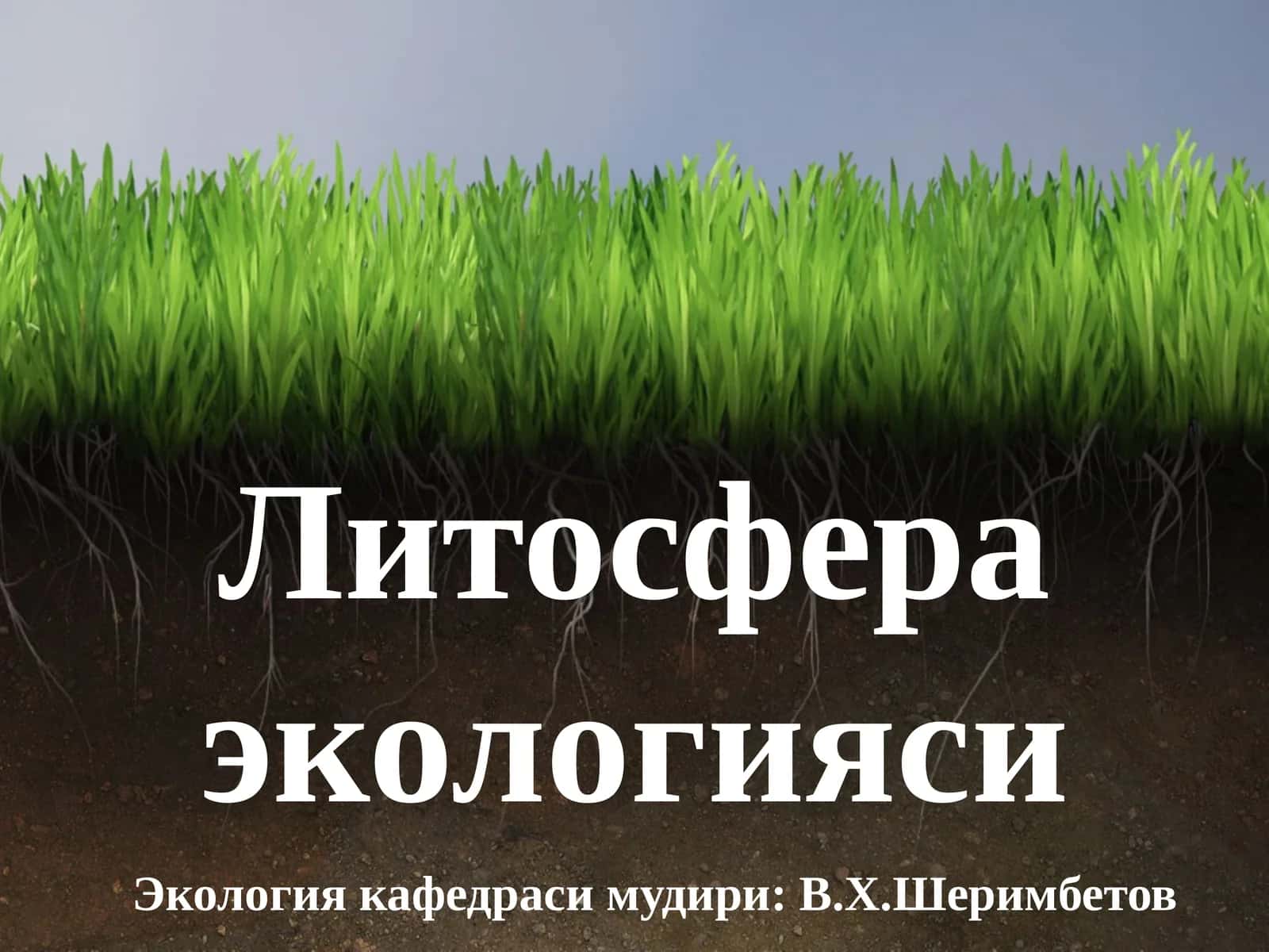 Литосфера экологияси