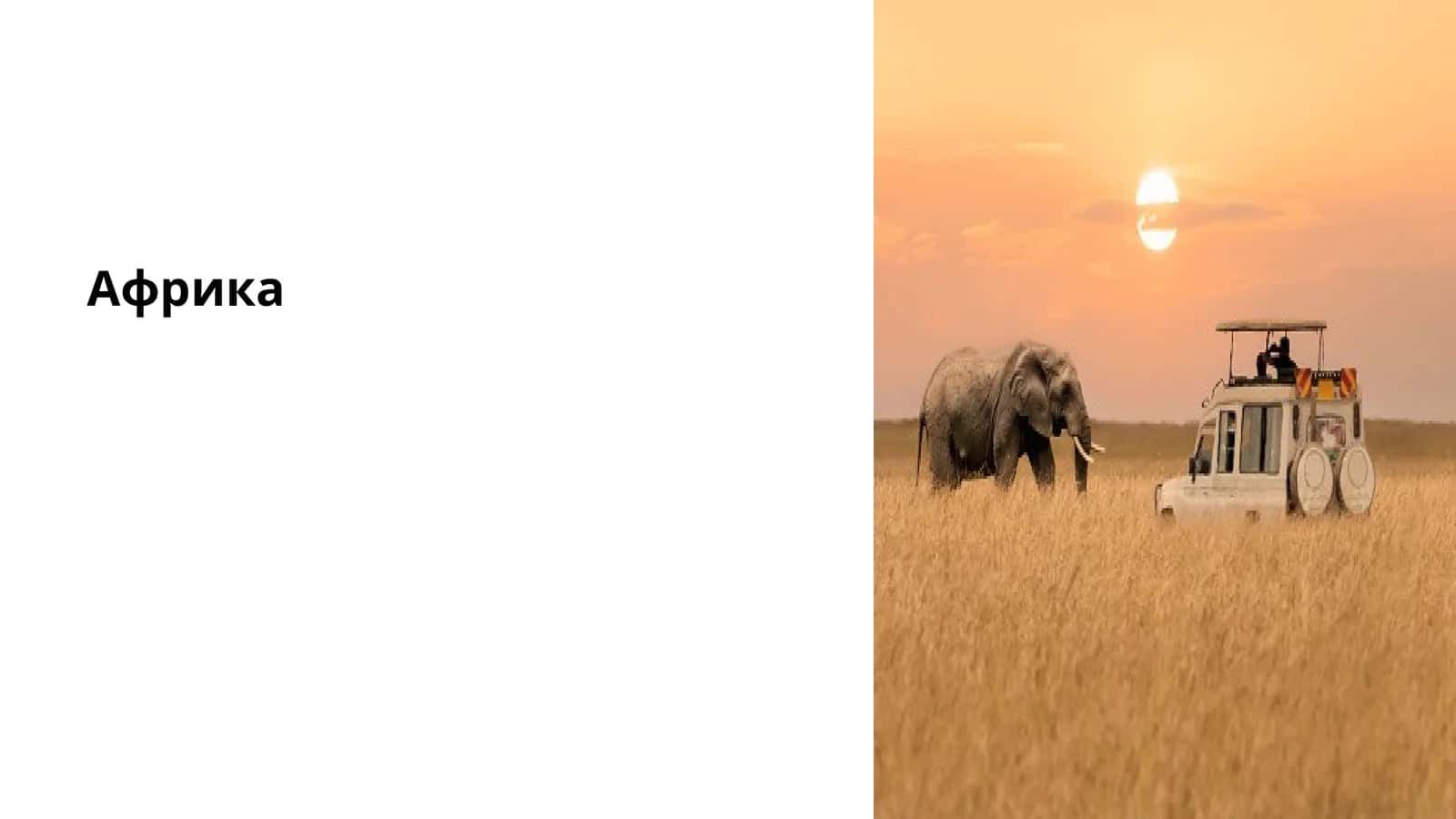 Африка