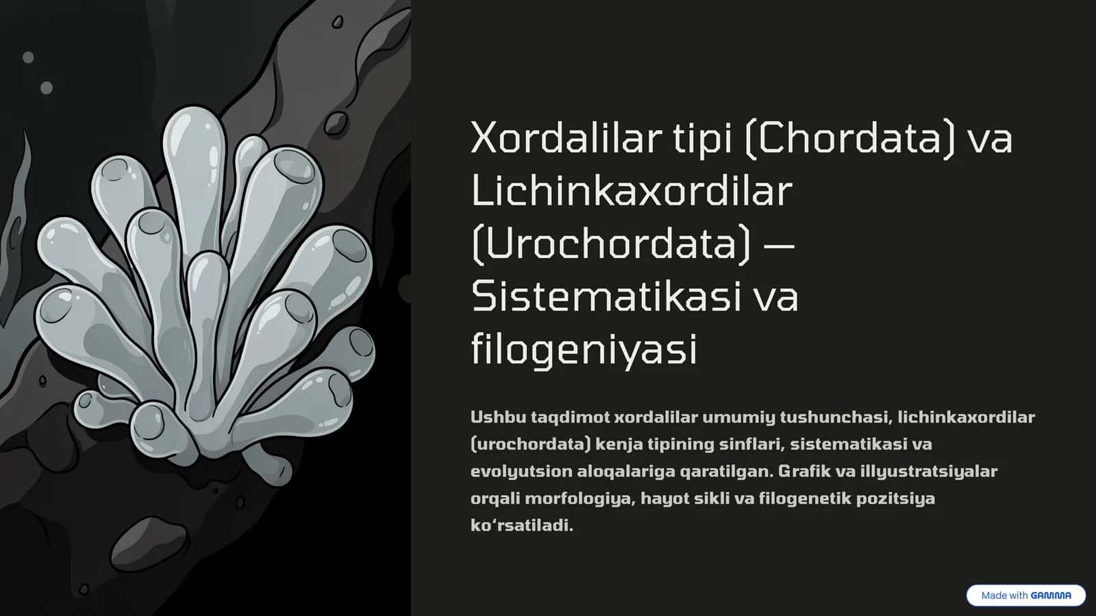 Xordalilar tipi (Chordata) va Lichinkaxordilar (Urochordata) - Sistematikasi va filogeniyasi