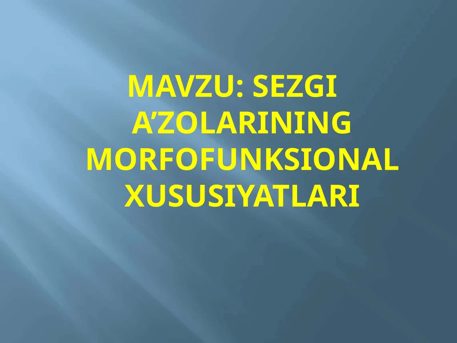 SEZGI A’ZOLARINING MORFOFUNKSIONAL XUSUSIYATLARI