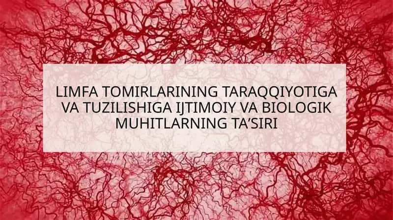 Limfa Tomirlarining Taraqqiyotiga va Tuzilishiga Ijtimoiy va Biologik Muhitlarning Ta'siri
