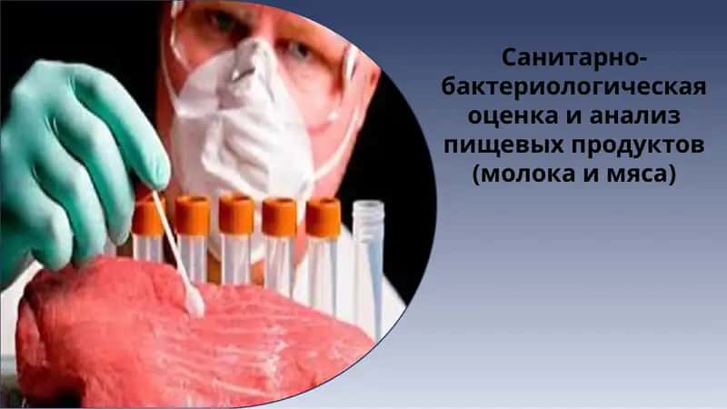 Санитарно-бактериологическая оценка и анализ пищевых продуктов (молока и мяса)