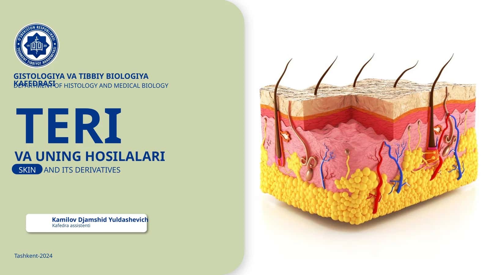 GISTOLOGIYA VA TIBBIY BIOLOGIYAKAFEDRASI TERI VA UNING HOSILALARI
