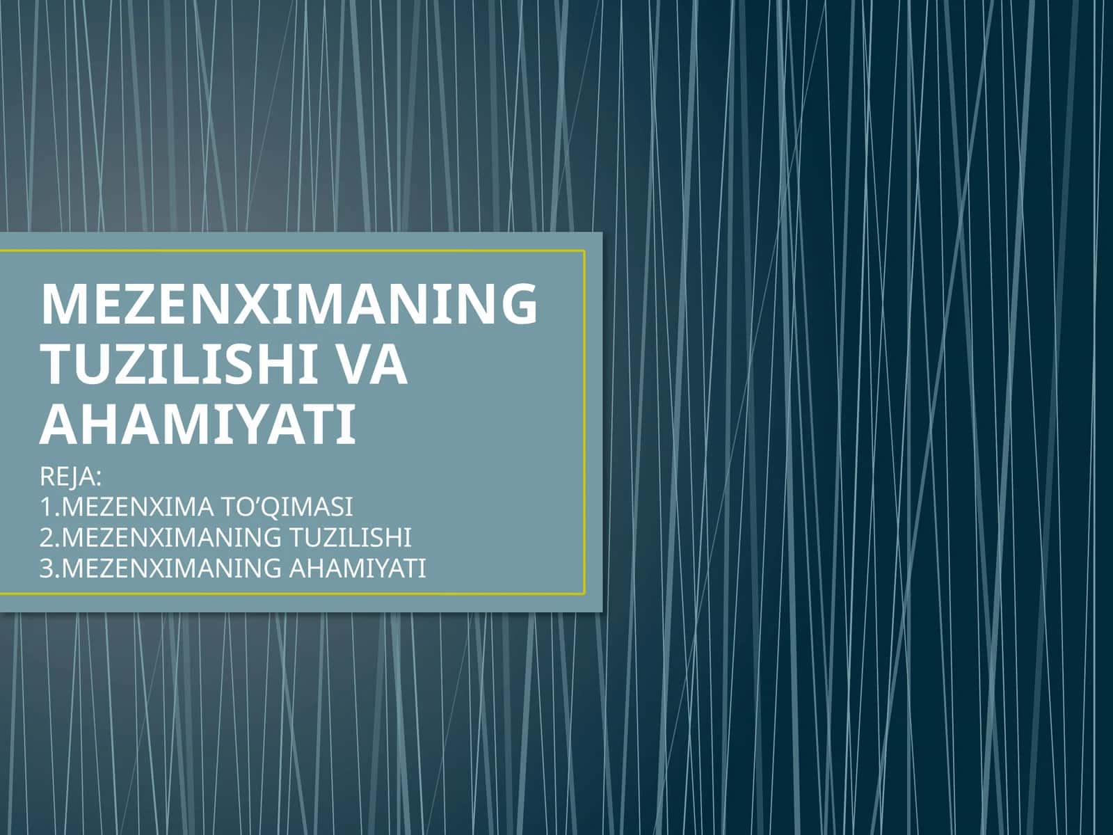 MEZENXIMANING TUZILISHI VA AHAMIYATI