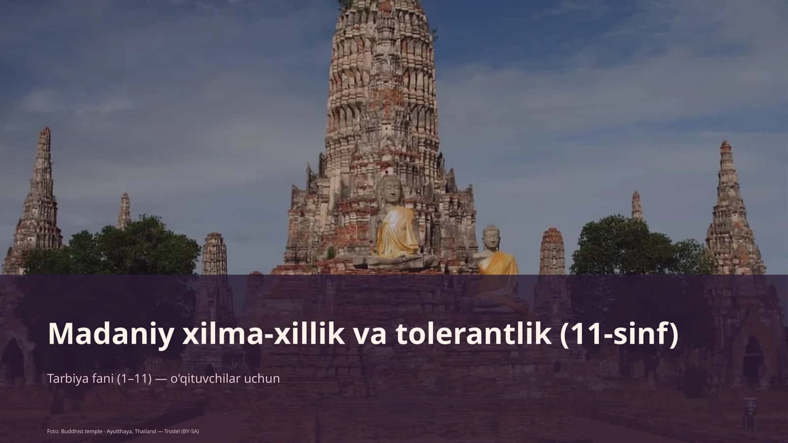 Madaniy xilma-xillik va tolerantlik (11-sinf)