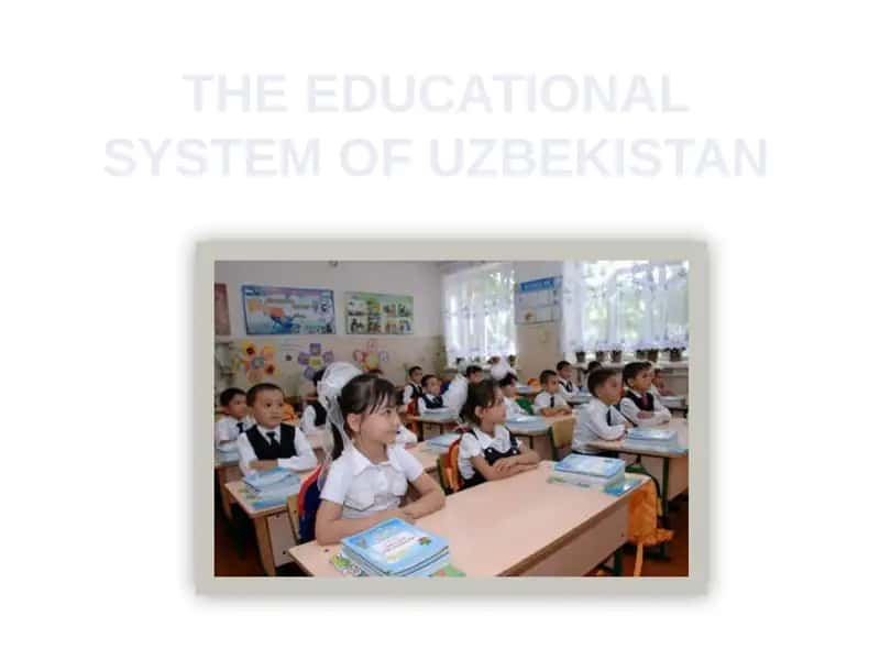 Primary Education