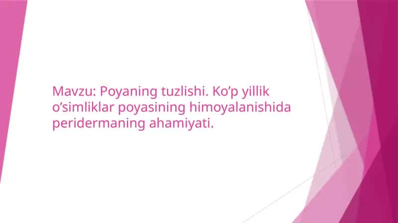 Poyaning tuzlishi. Ko’p yillik o’simliklar poyasining himoyalanishida peridermaning ahamiyati.