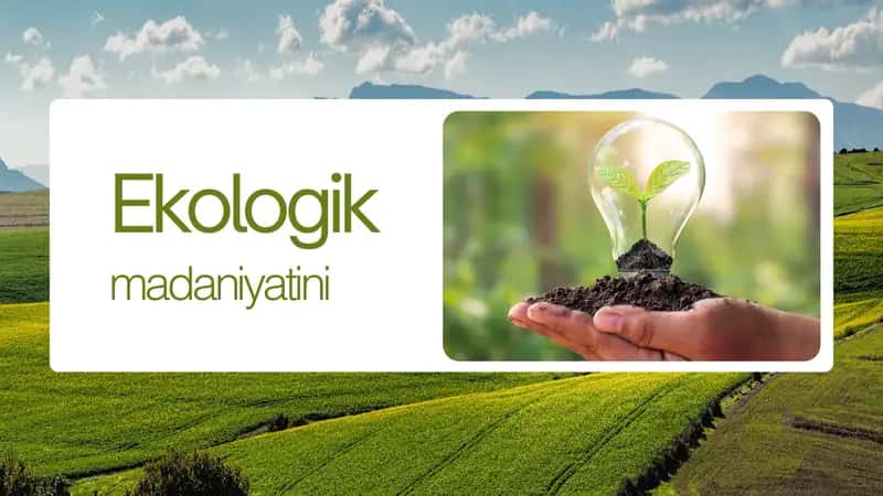 Ekologik madaniyat