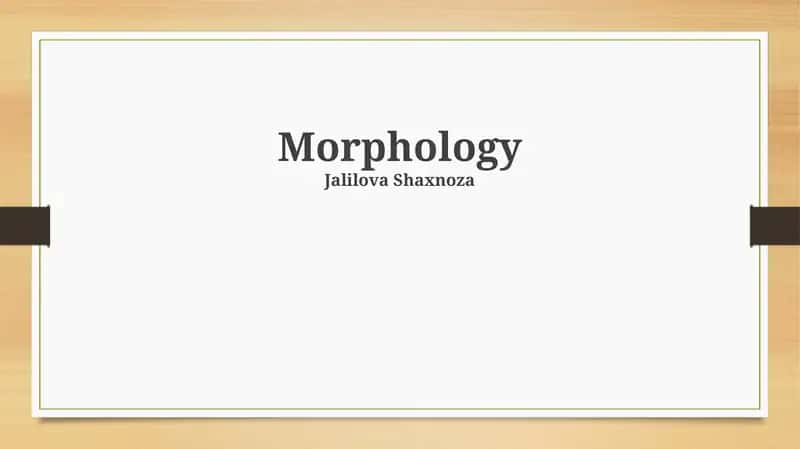 Morfologiya nima?