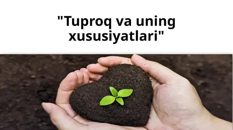 Tuproq va uning xususiyatlari