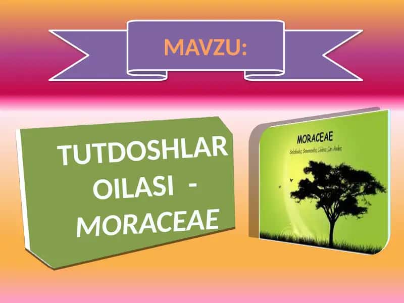 Tutdoshlar oilasi