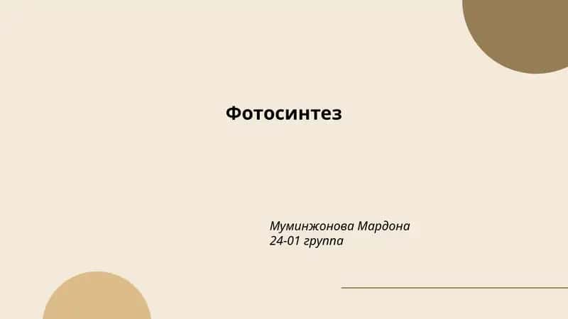 Фотосинтез