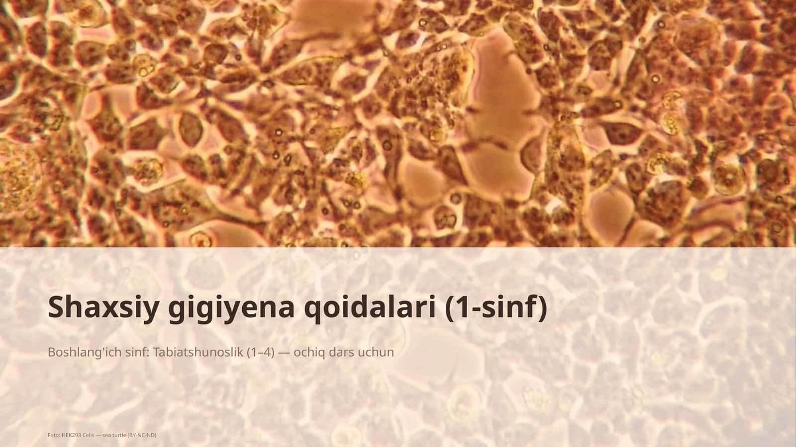 Shaxsiy gigiyena qoidalari (1-sinf)