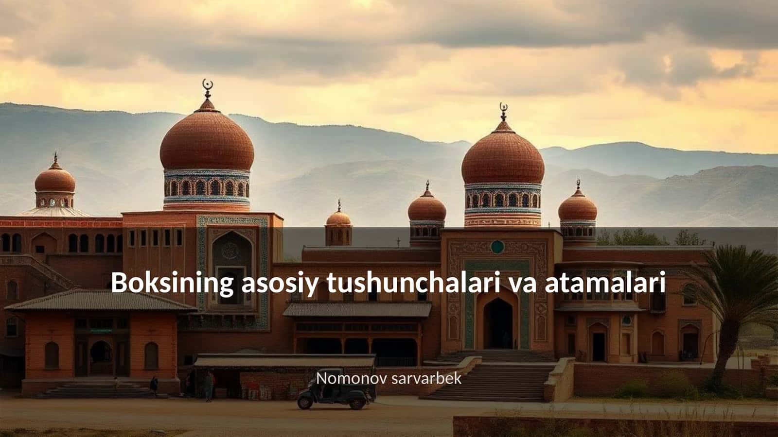 Boksining asosiy tushunchalari va atamalari