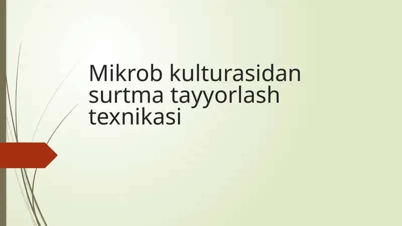 Mikrobkulturasidan Surtma Tayyorlash Texnikasi