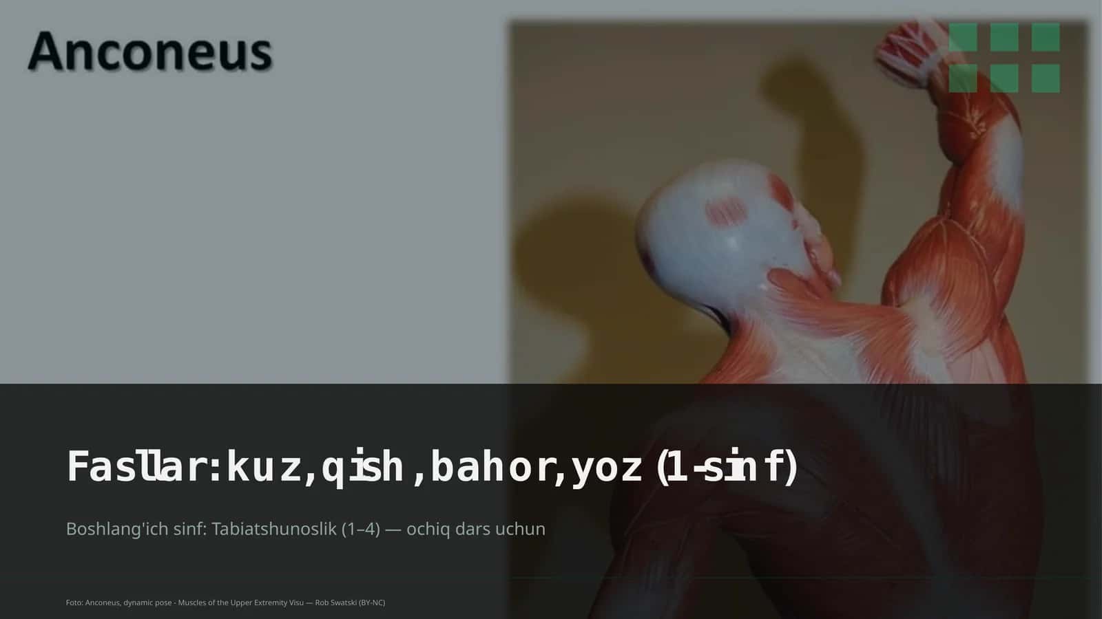 Tabiatshunoslik Dars Rejasi