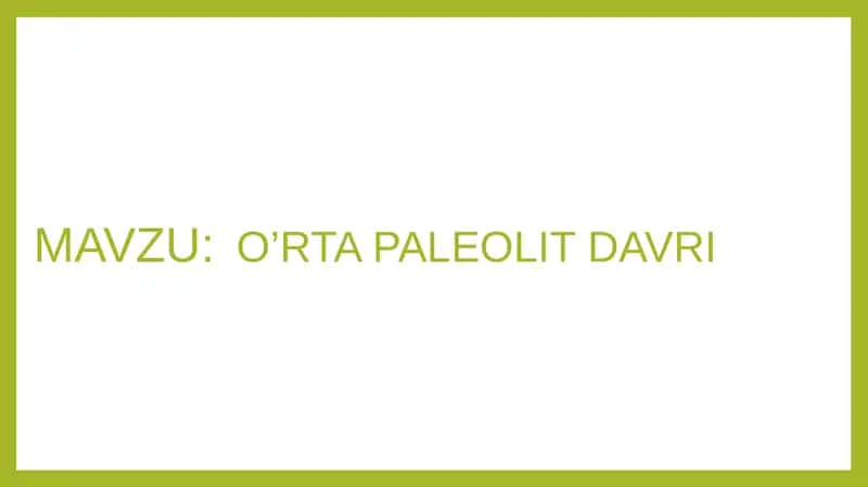 O’rtapaleolit davri